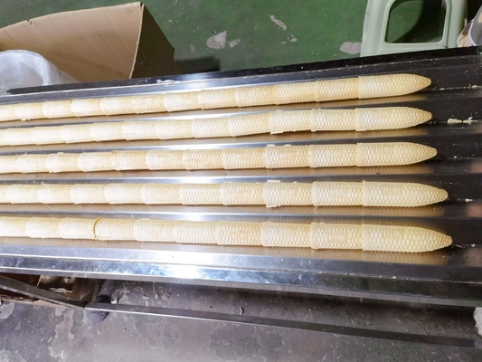 Bom preço. Sugar Cone Making Machine automático de duas cores 7000pcs/H on-line